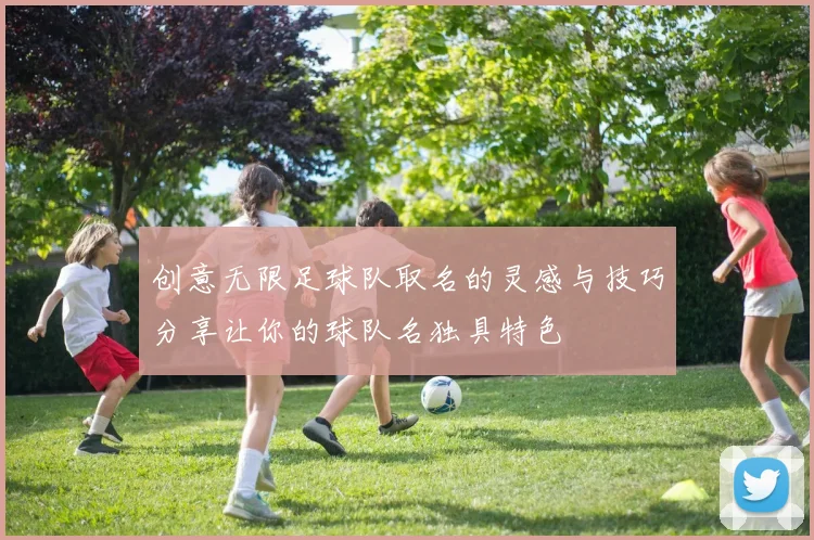 创意无限足球队取名的灵感与技巧分享让你的球队名独具特色